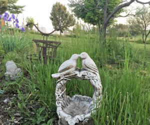 Love Birds Bird Bath - resized